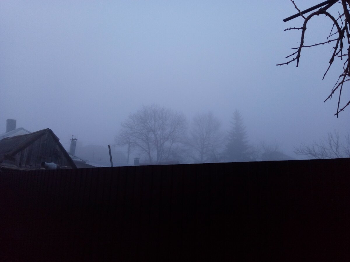 Туман во дворе - 10 марта 2020 года