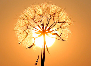 Фото с сайта pixabay.com бесплатная загрузка