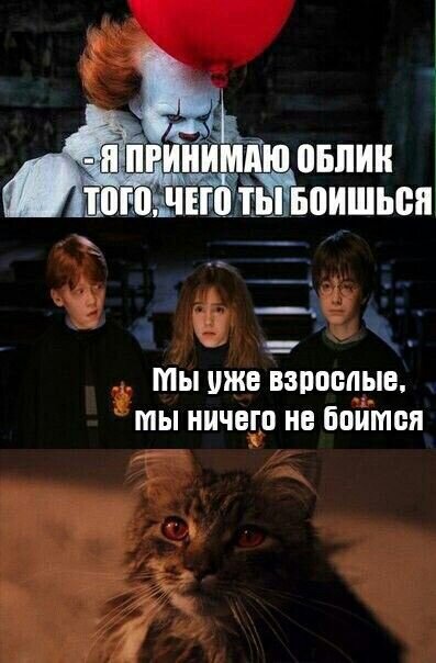 Это же кошка, миссис Норрис! Валим, валим скорее отсюда!