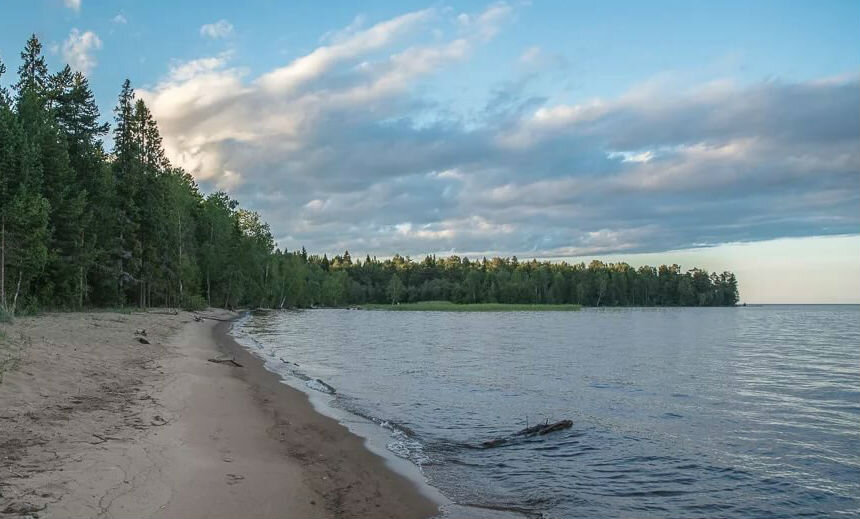 Типичное побережье юга Онежского озера. 