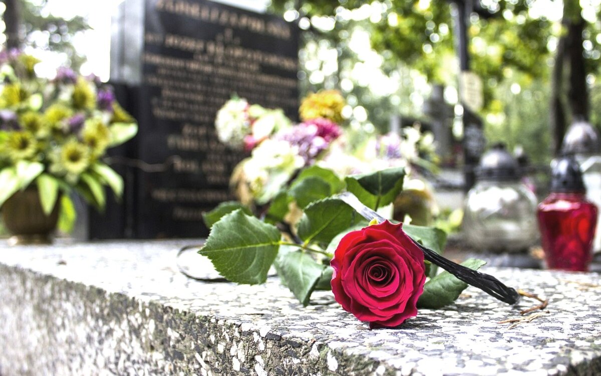 Цветы в честь памяти. Цветы на могилу. Цветочки на могилку. Кладбищенские цветы.