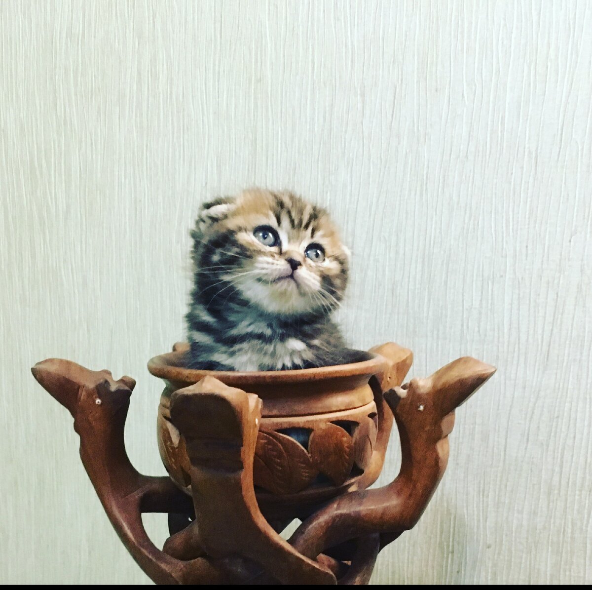 Люблю позировать)))