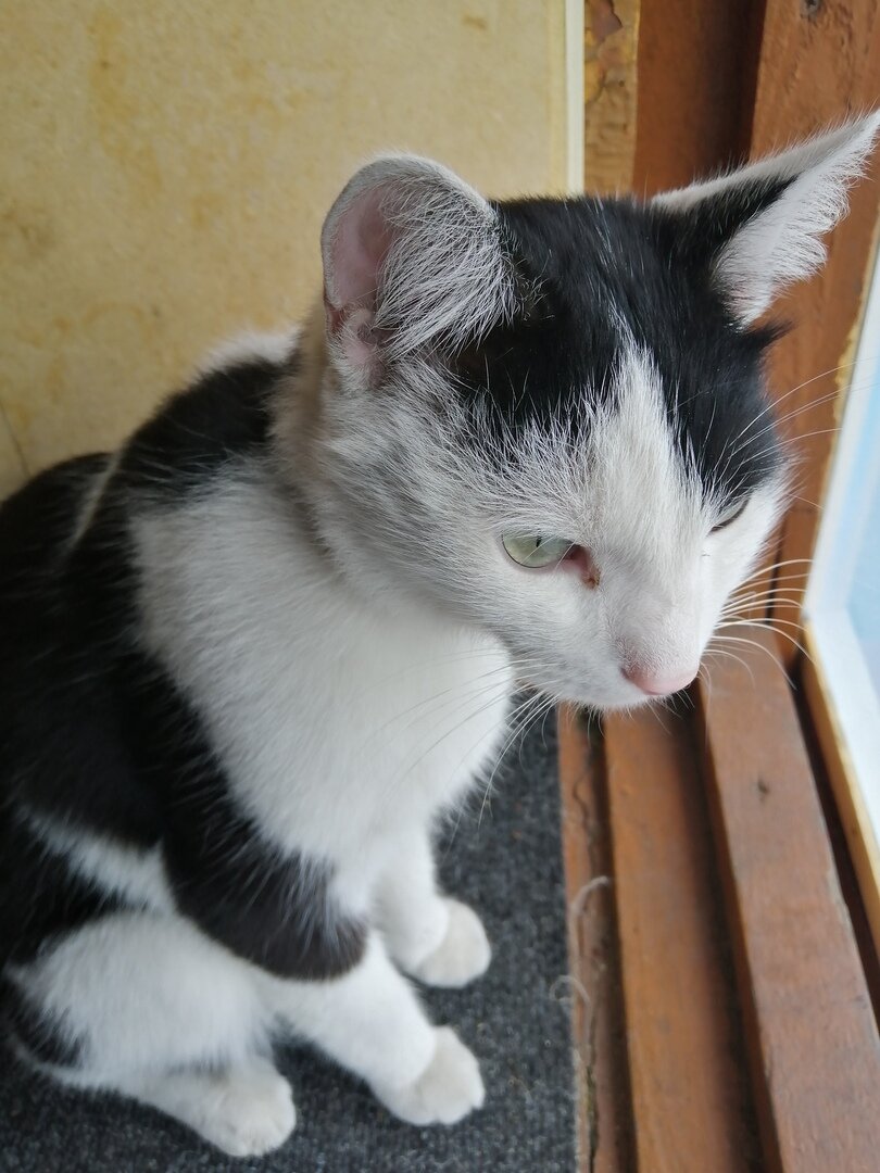 Феликс, 20 августа будет 2 года ровно.