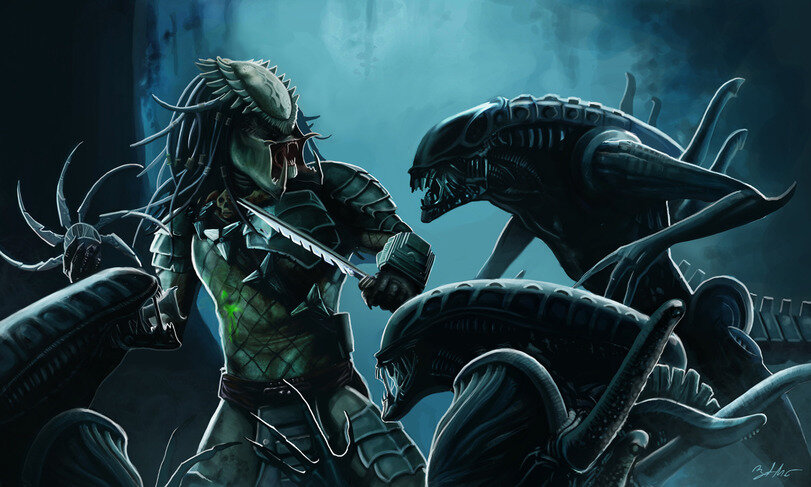 Изображение взято из открытых источников.