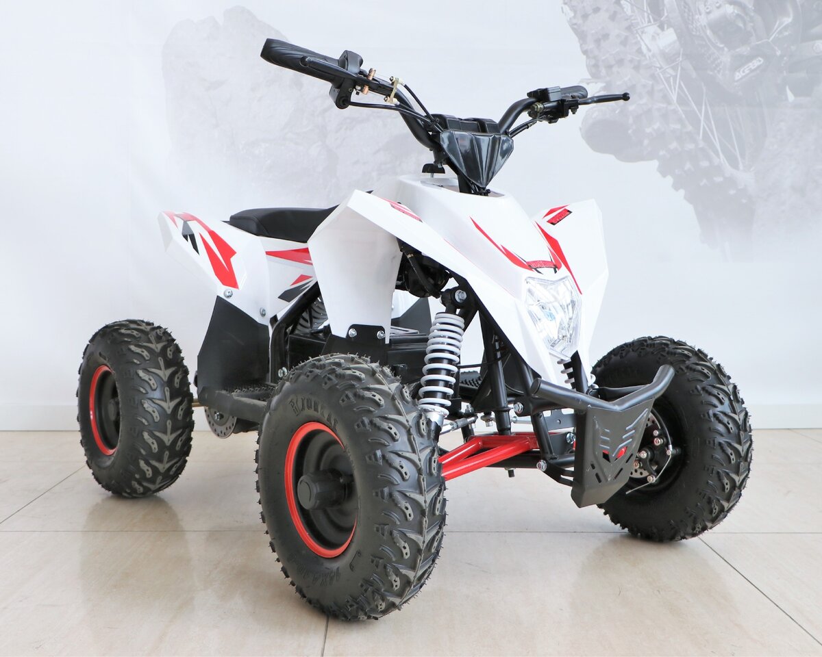 детский квадроцикл бензиновый motax gekkon. детский квадроцикл gekkon. квадроцикл motax gekkon 90cc. квадроцикл motax gekkon 70cc. Motax gekkon 1300w.