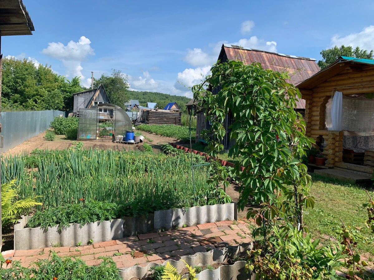 Огород моих друзей