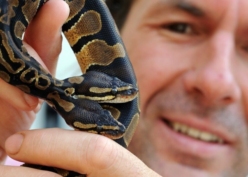 Открытый источник: Яндекс