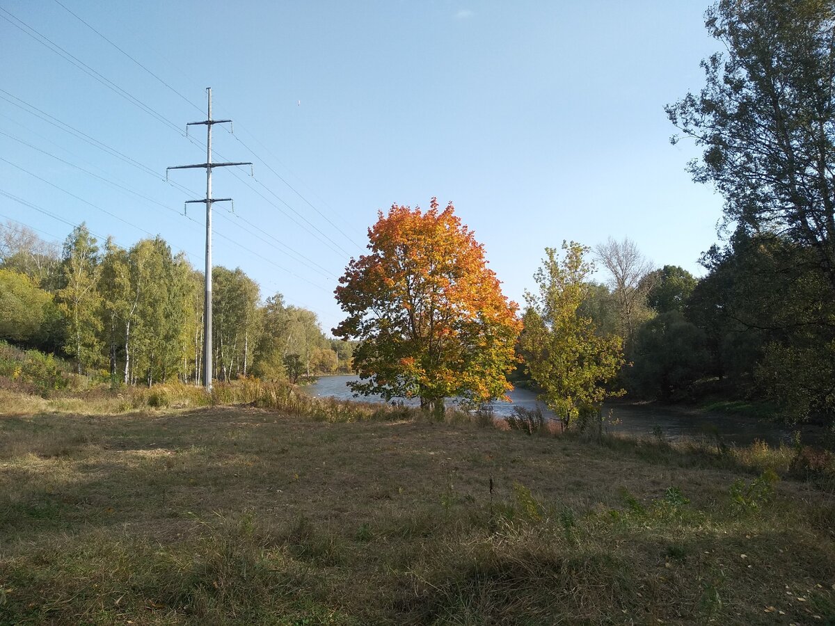 Золотая осень вступает в свои права. Последние дни бабьего лета. Личное фото