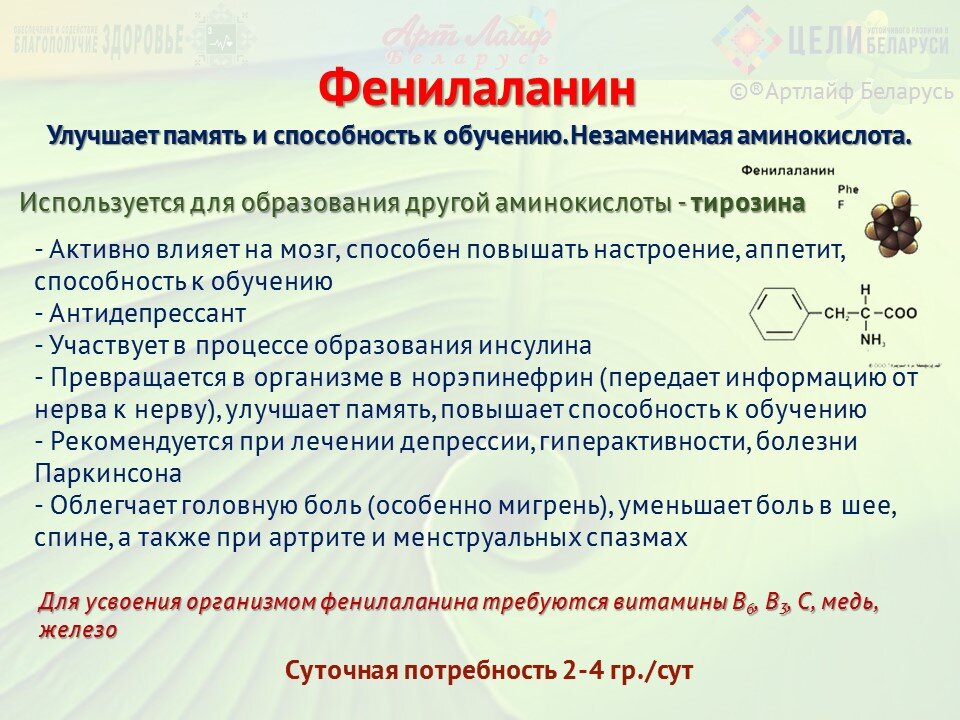 Содержание фенилаланина. Фенилаланин роль в организме человека. Источник фенилаланина. Фенилаланин функции. Фенилаланин аминокислота.