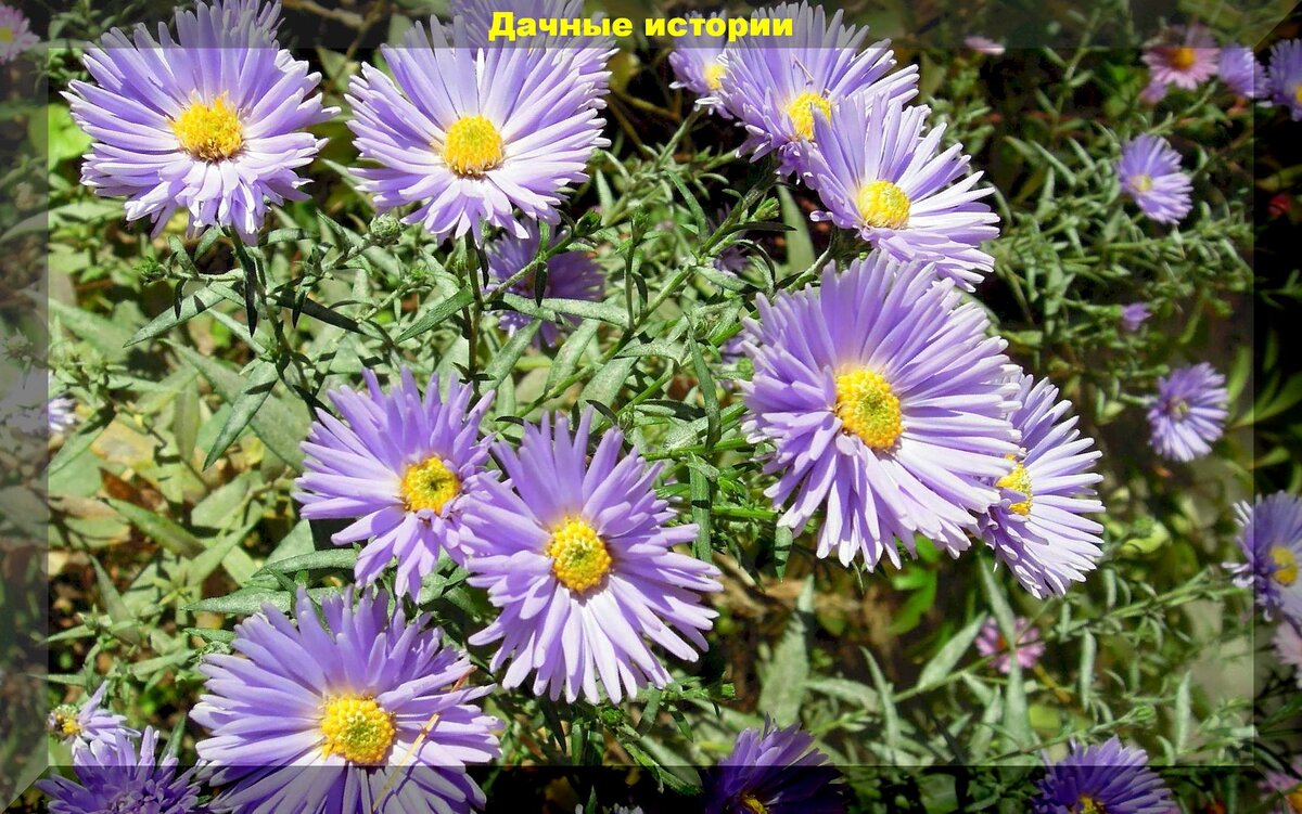 https://vk.com/photo-159774511_457244561