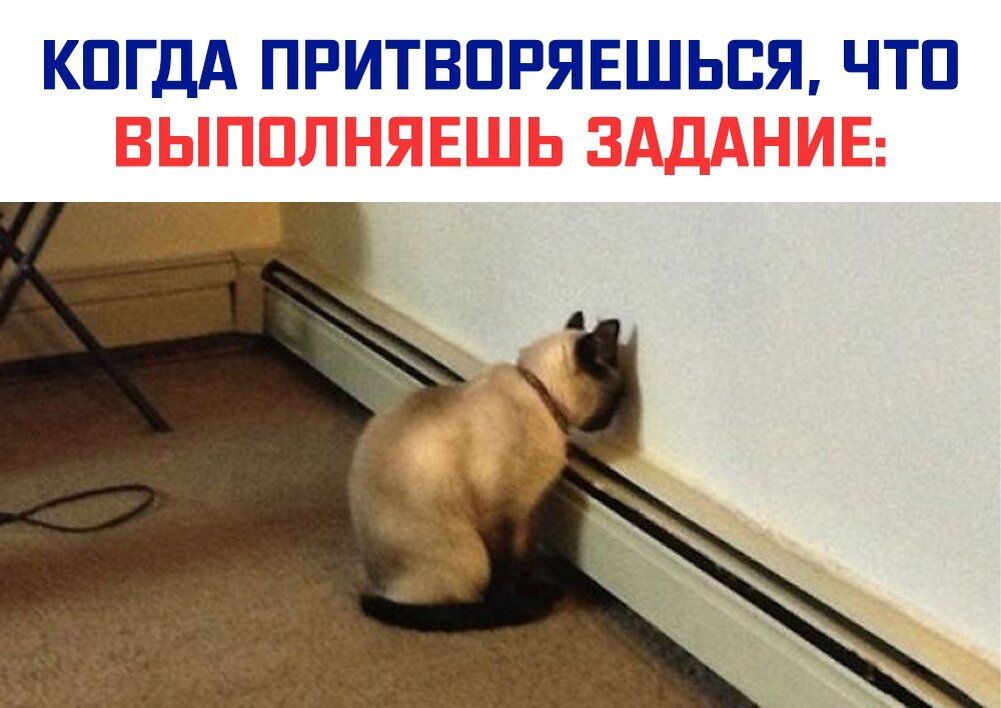 Это чисто я когда играю за предателя..