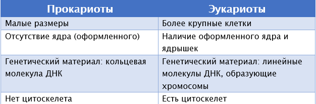 Сравнительная характеристика прокариотов и эукариотов.
