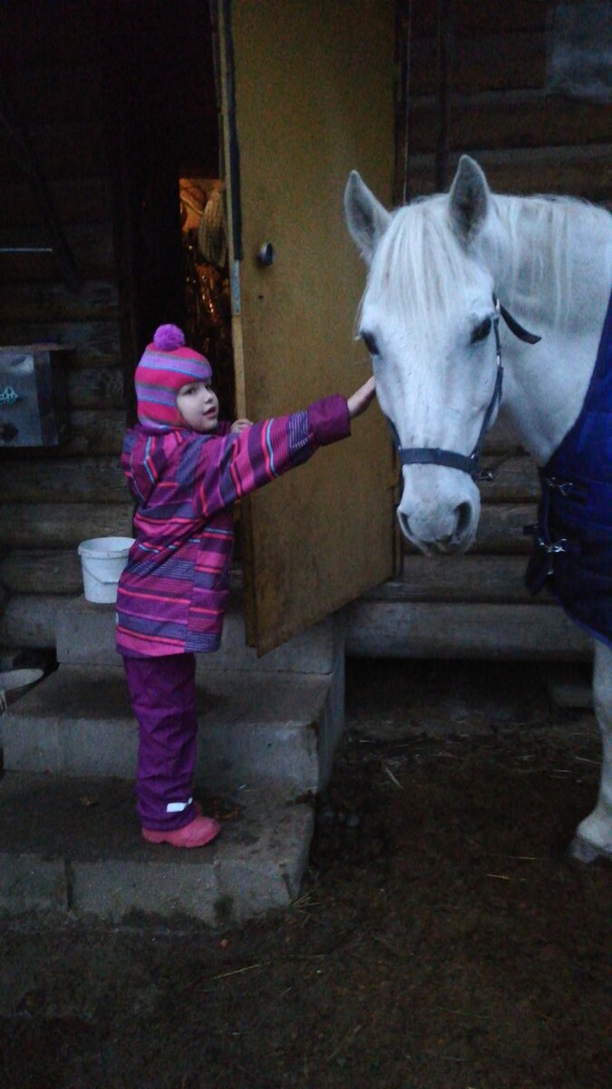 Моя доча стоит с любимым конём  Винни