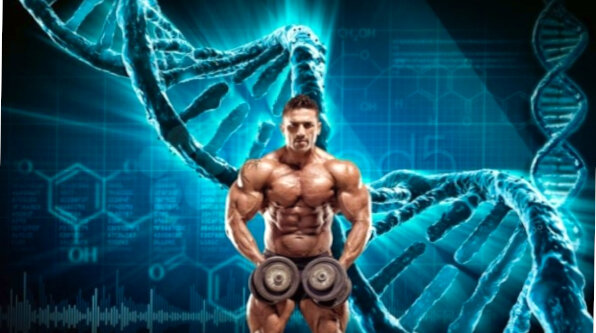 Генетика, упорство или витаминки?