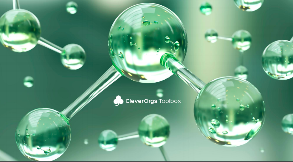 Методология управления интеллектуальным капиталом CleverOrgs Toolbox