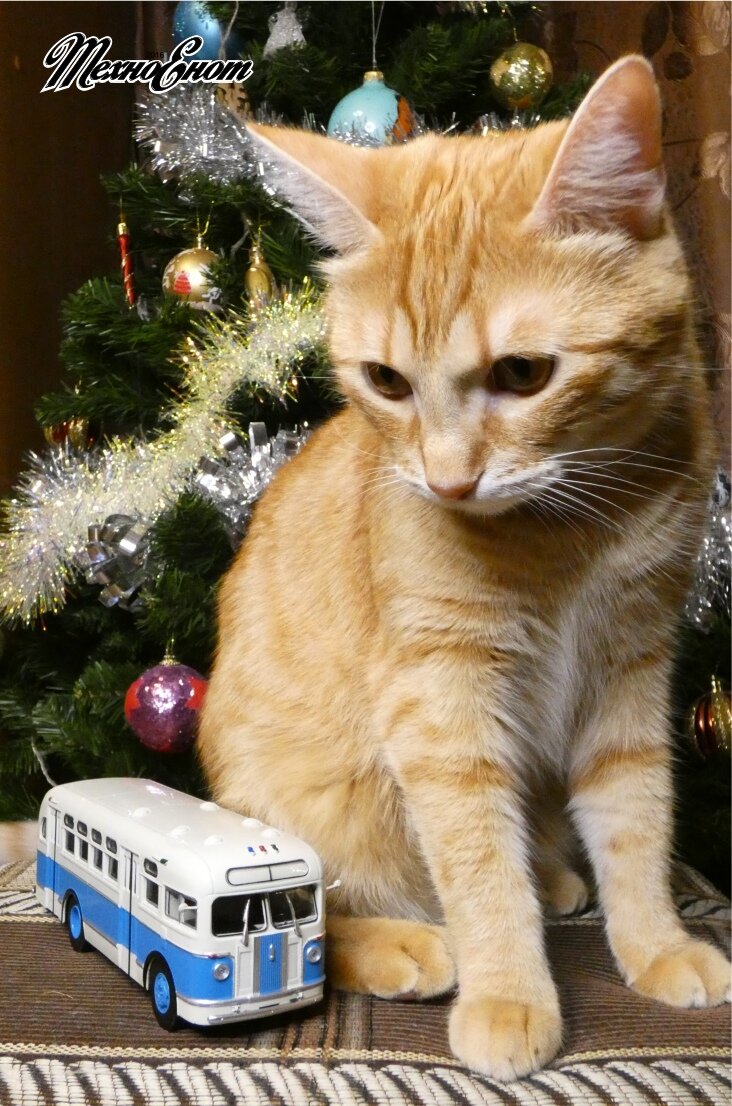 Друзья, всех с наступившим Новым годом!
