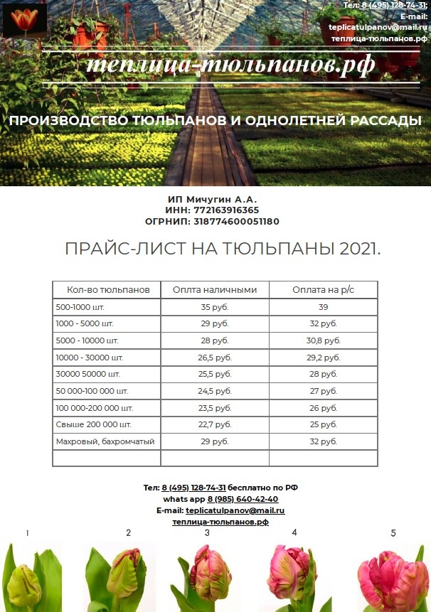 Прайс 2021 январь