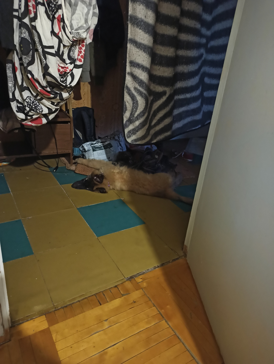 Нельзя спать там, буду туть - я не возражаю