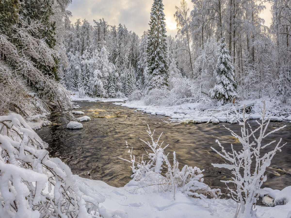 Линдуловская роща.  Фото автора. 