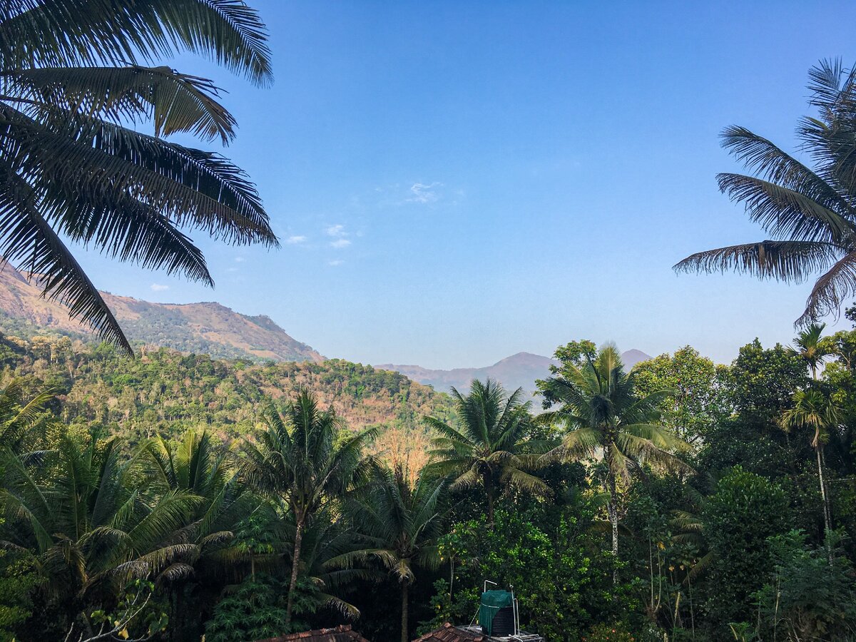 Виды по дороге