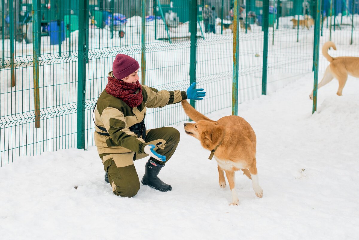 Обнимашки - самое волшебное для этой собаки