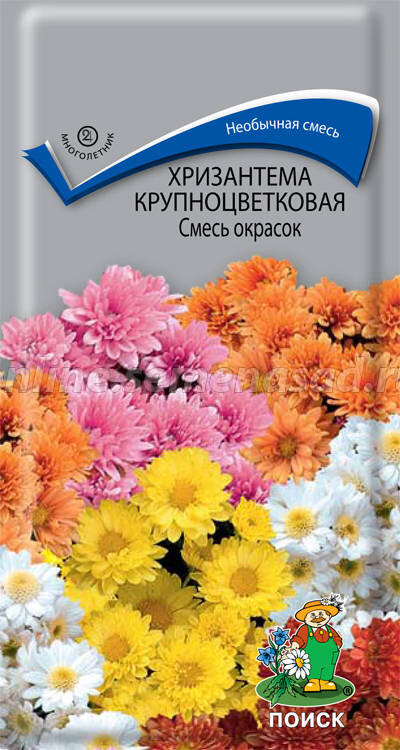 Вот такие у меня семена.