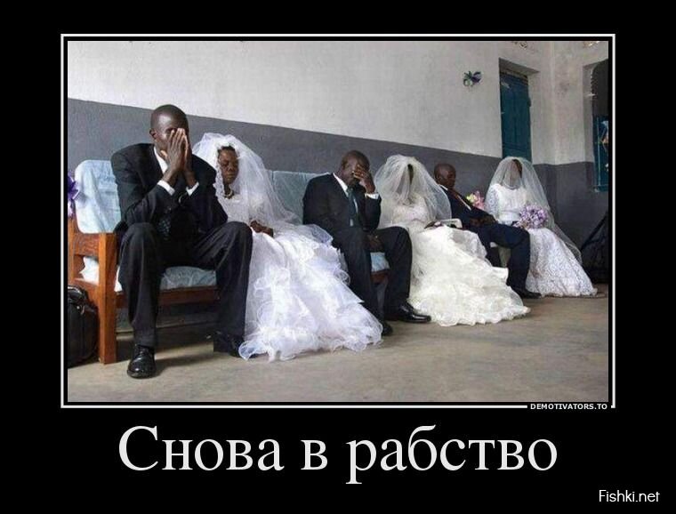 из свободного источника