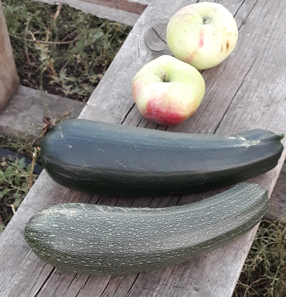 Прошлогодние вкусные яблоки от нее