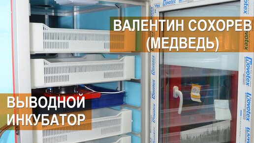 Инкубатор выводной на заказ / Игорь Инкубаторы | Игорь ИНКУБАТОРЫ | Дзен