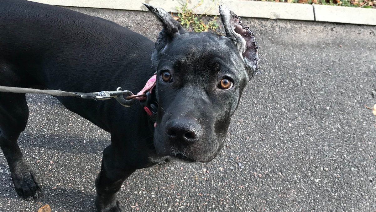 Наша младшенькая)