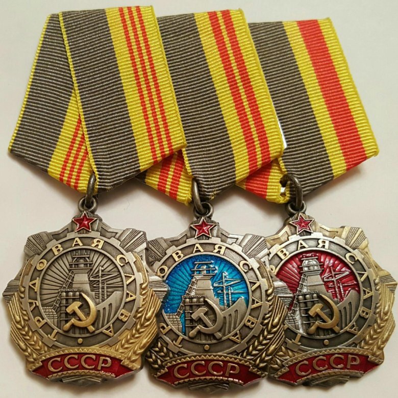 Орден Трудовой Славы трёх степеней. Учрежден 18 января 1974 года