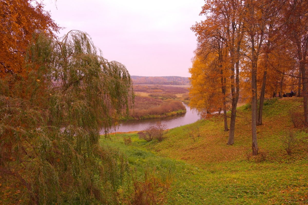 Пушкинские горы картинки фото