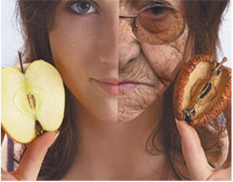 фото из открытого источника в интернете