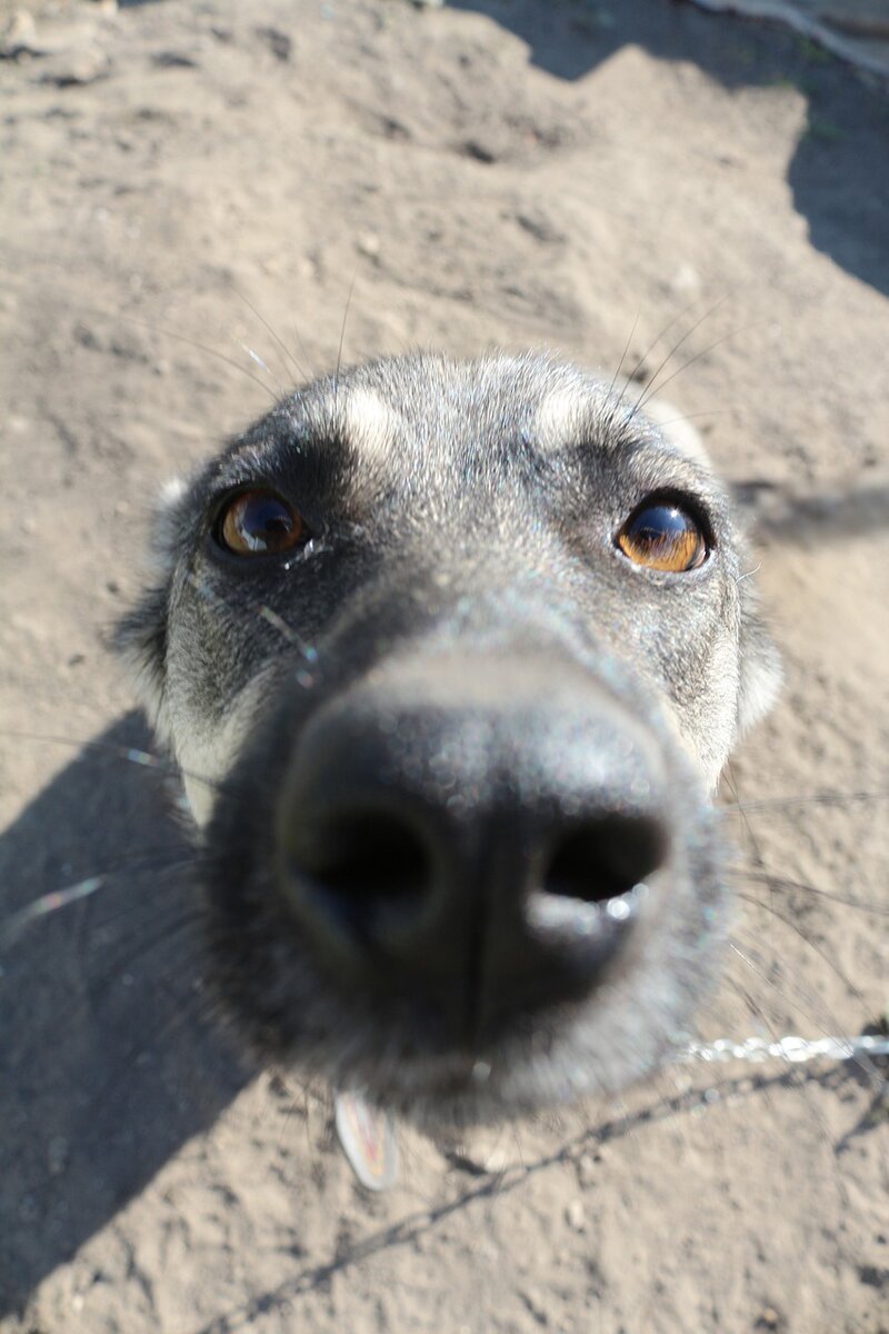 Изображение Тимур Бах с сайта Pixabay