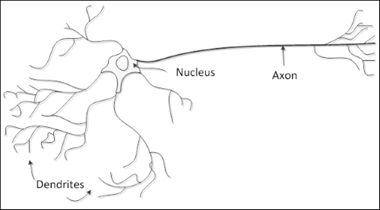 Фото взято из свободного доступа Интернета