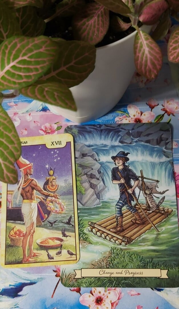 Колоды: "Таро Вечности. Карты фараона Рамзеса" и "Everyday Witch Oracle"
