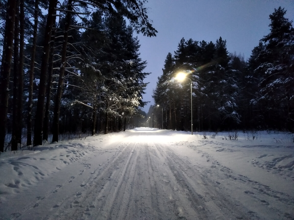 6 января 2022, 8 утра, Кострома, парк Берендеевка, до рассвета 1 час. Фото автора