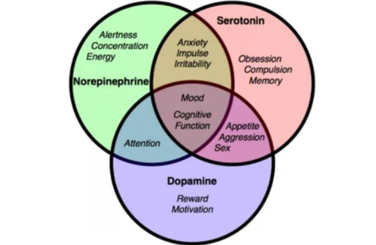 Вот такая еще интерпретация интересная есть