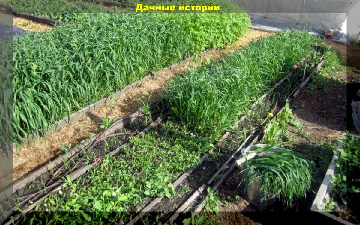 https://vk.com/photo-159774511_457252778