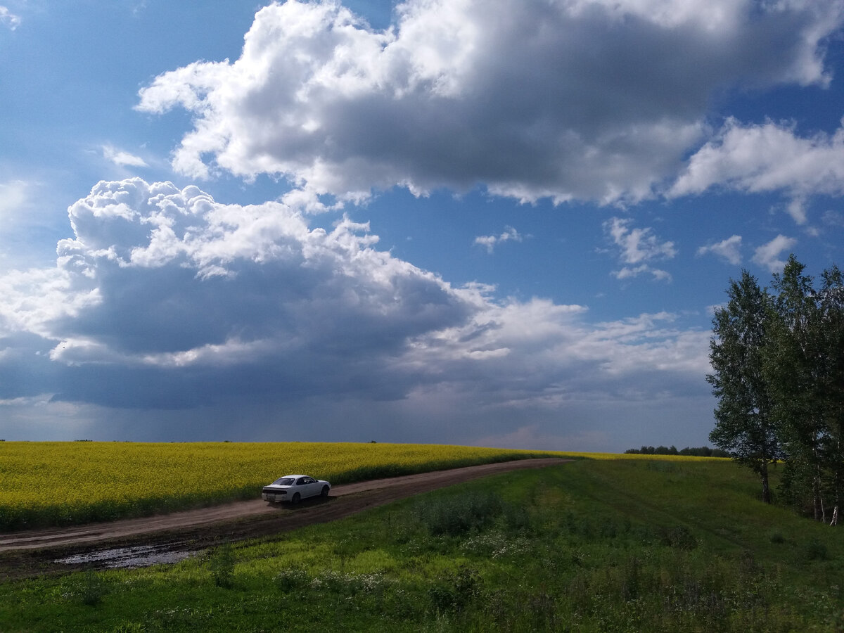 Вблизи Новосибирска