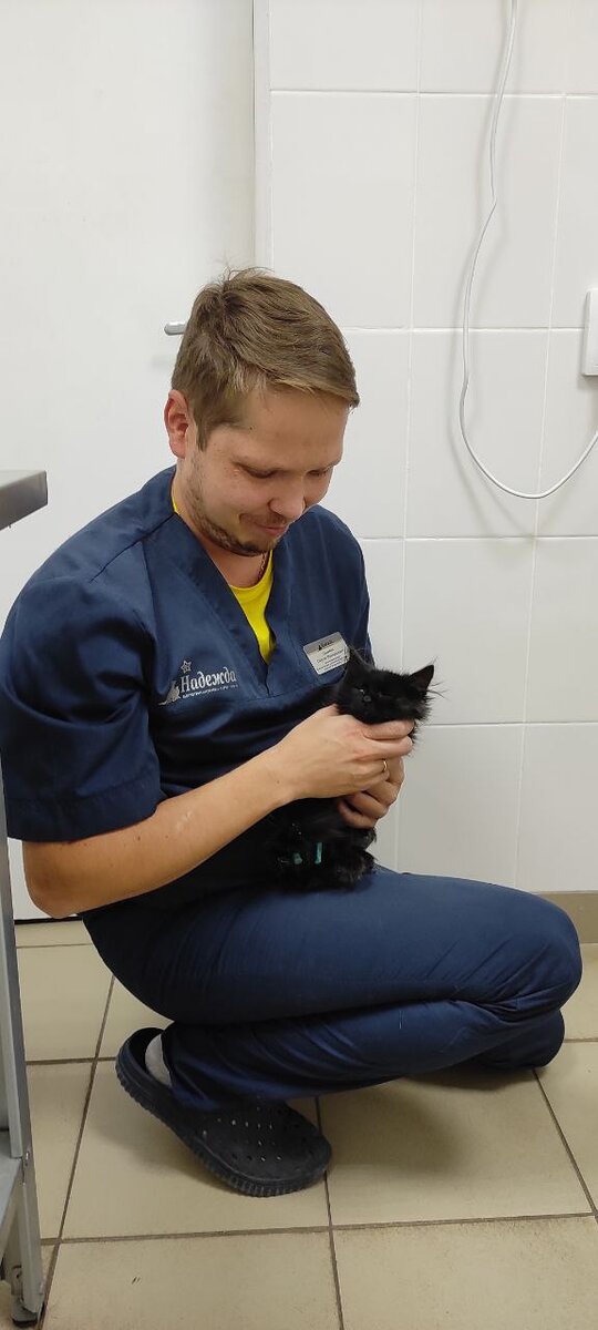 Скоро котёнку понадобится передержка, а чуть позже этому счастливчику понадобится дом. С любящими и заботливыми людьми. 