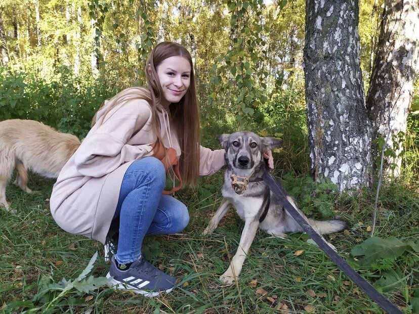 Благодаря волонтерам Вульфи уже дома