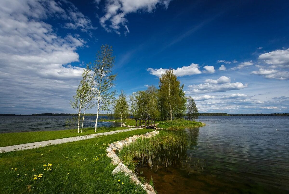 Озеро русское валдайский район фото