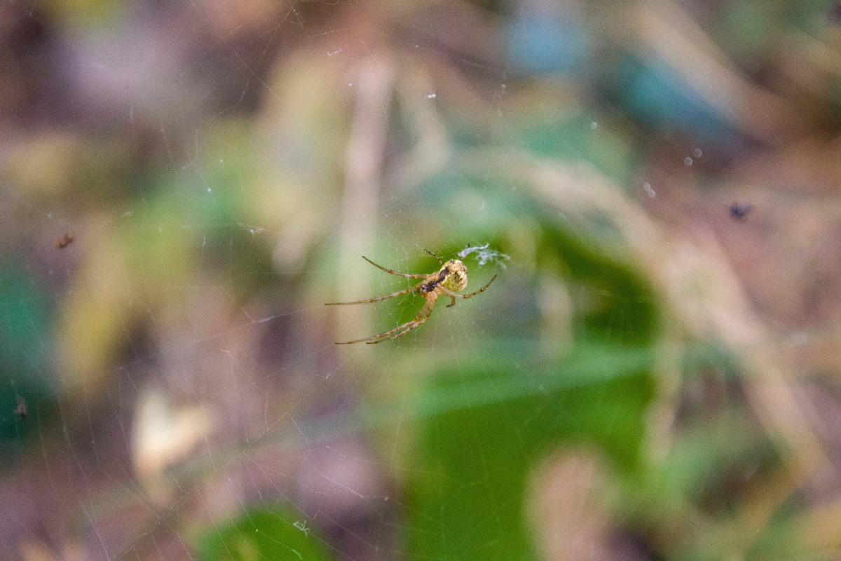 Фотография Vadim Ivanov: Pexels