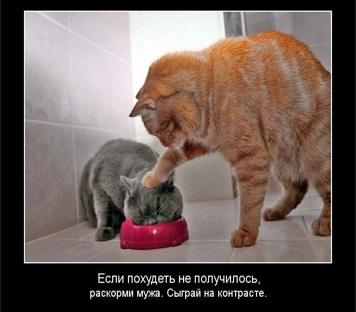 Мем из открытых источников