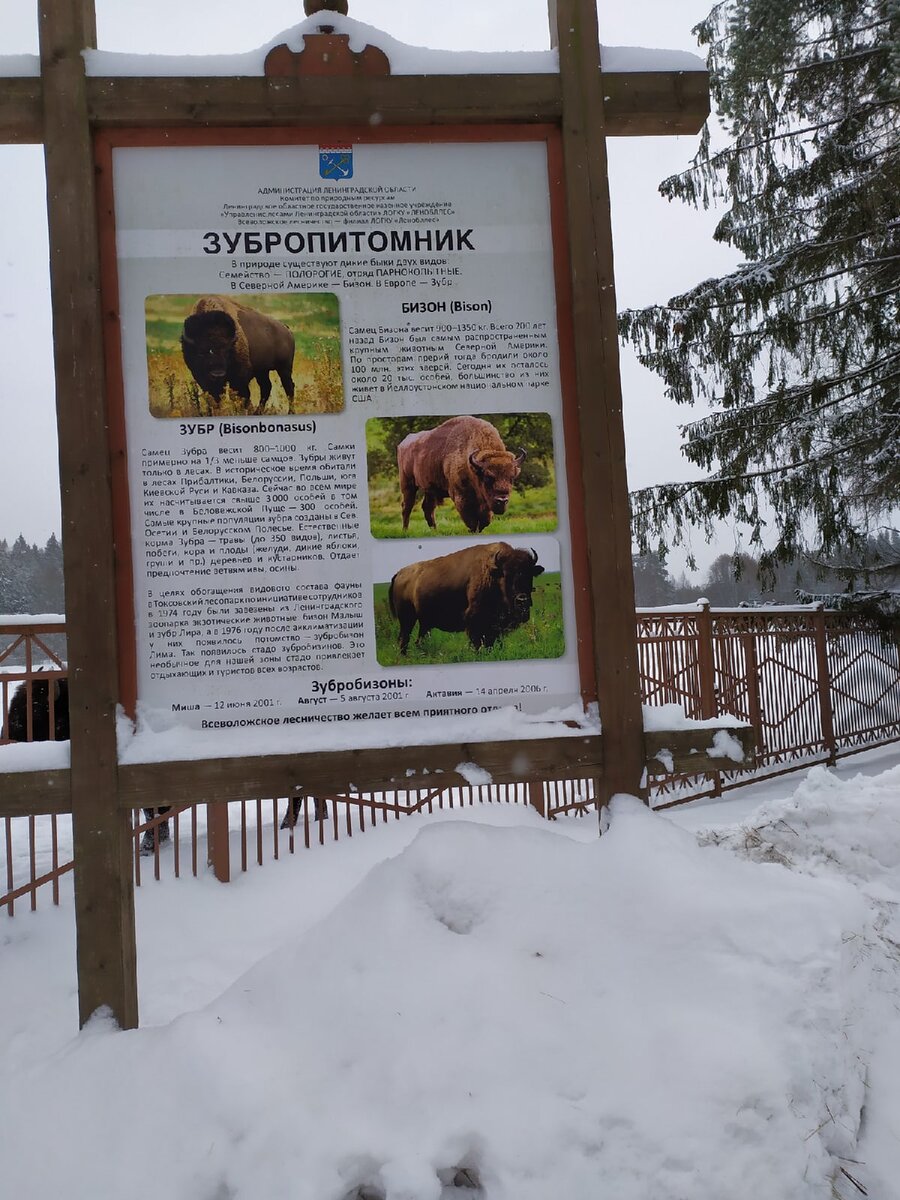 Парк зубровник в токсово