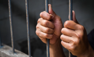    Фото: dela.ru Анастасия Волова