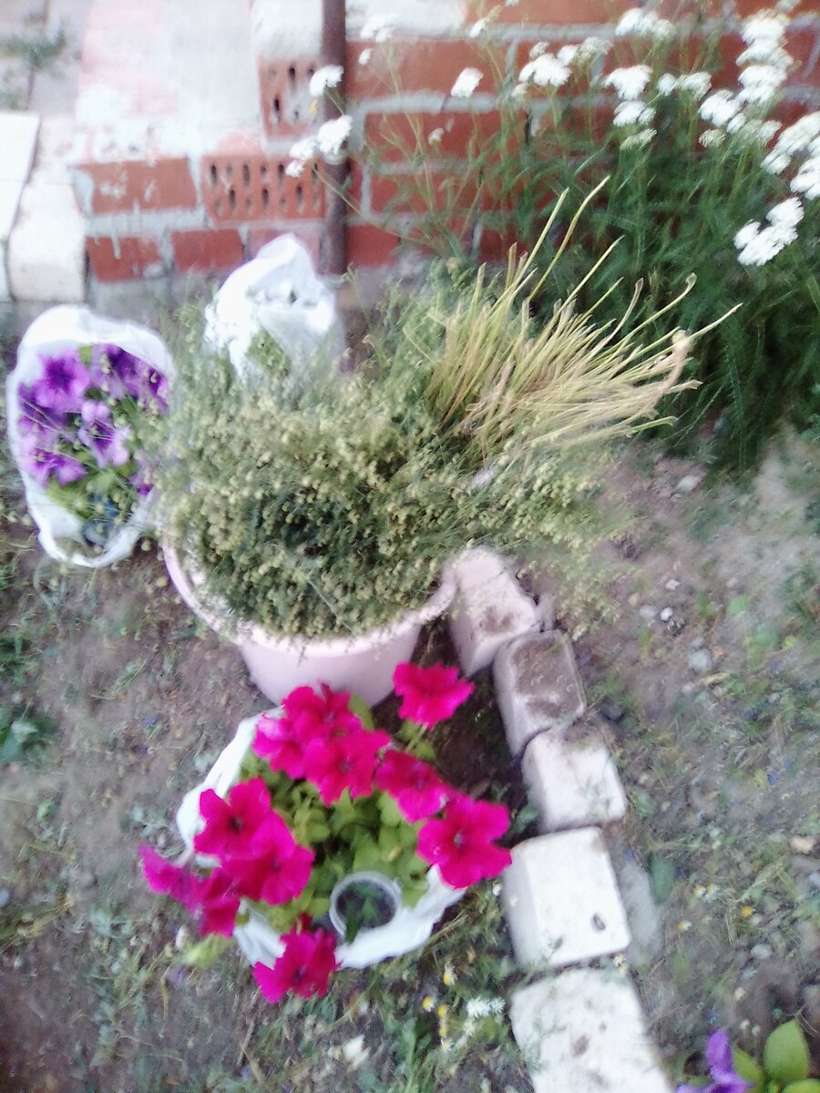 авторское фото