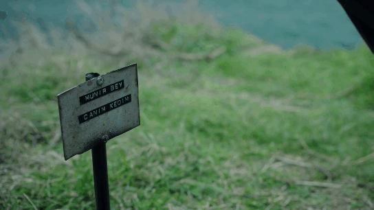 "Мунир. Мой любимый кот."