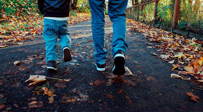 Фото: pixabay.com